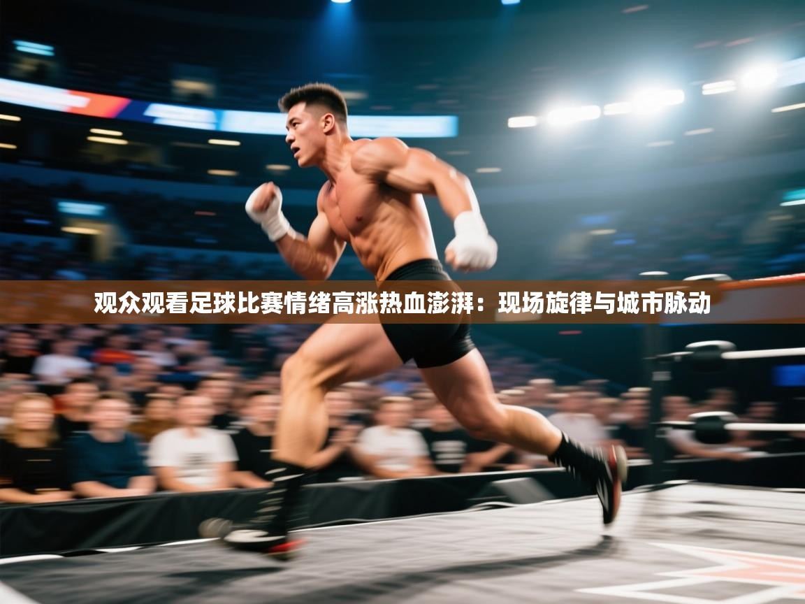 观众观看足球比赛情绪高涨热血澎湃：现场旋律与城市脉动  第1张