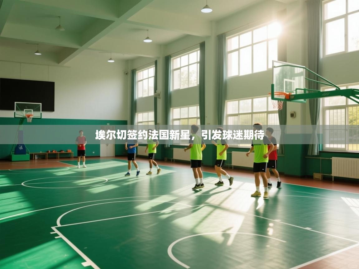 埃尔切签约法国新星,引发球迷期待 埃尔切签约法国新星,引发球迷期待