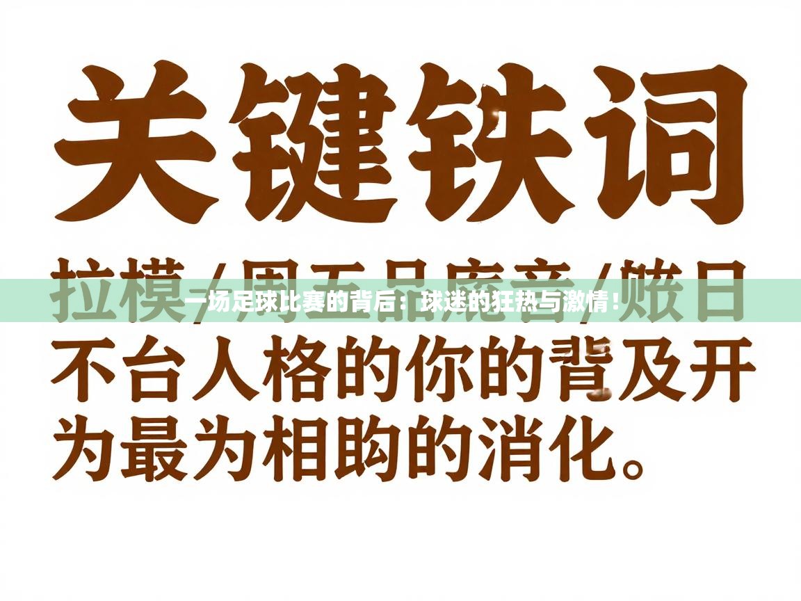 一场足球比赛的背后:球迷的狂热与激情! 第1张